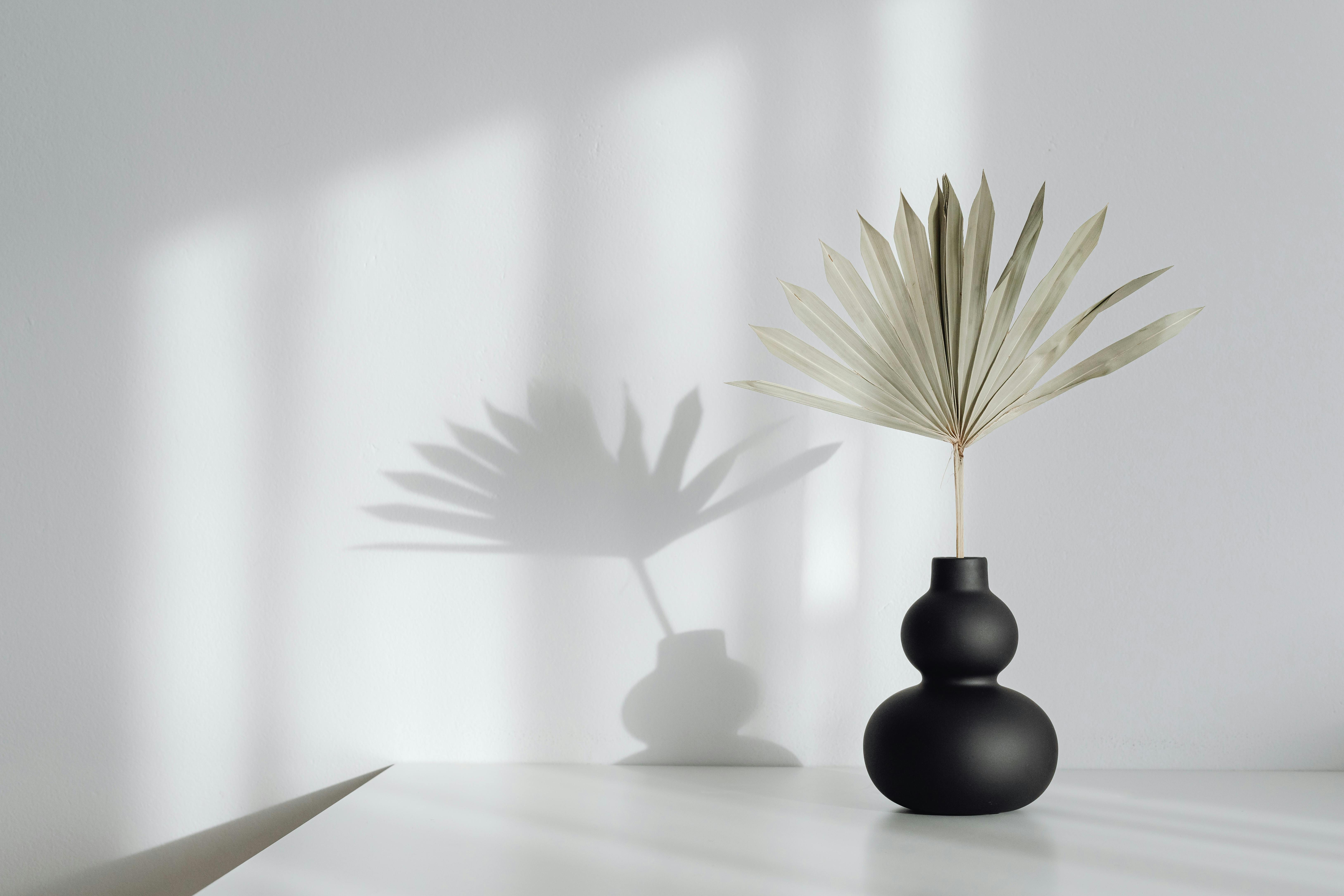 How to Host the Perfect Wedding Registry Reveal in India